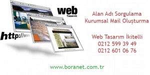 web tasarim ikitelli